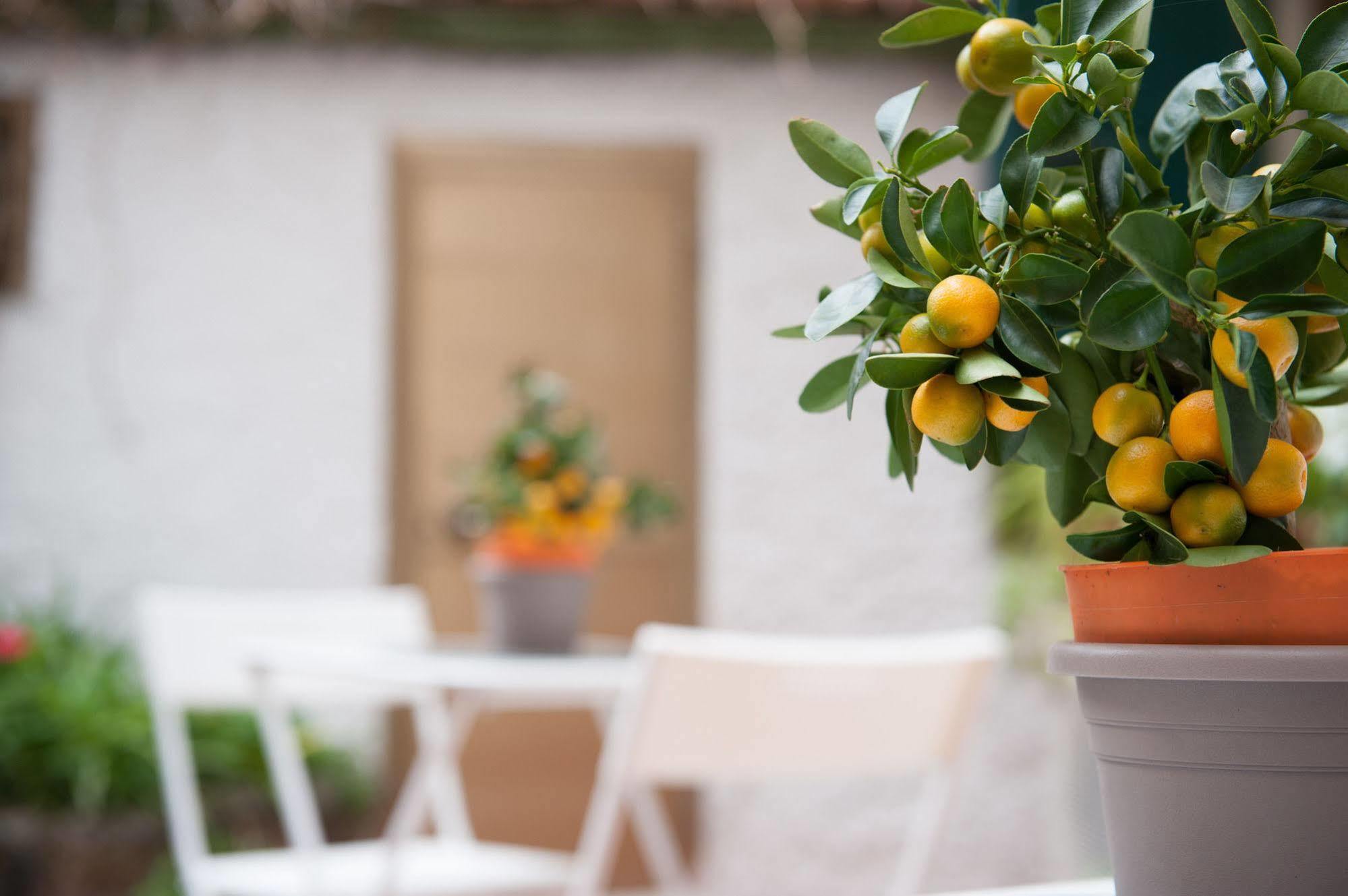 فلورنس Piccarda Bed And Breakfast المظهر الخارجي الصورة